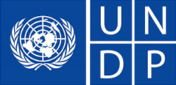 In the Context of the Headway Program, The Directorate of Career Development Launches a Website for each UNDP-Funded Startup