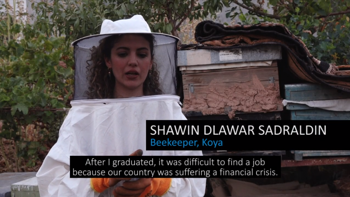 Shawin Dlawar Sadraldin