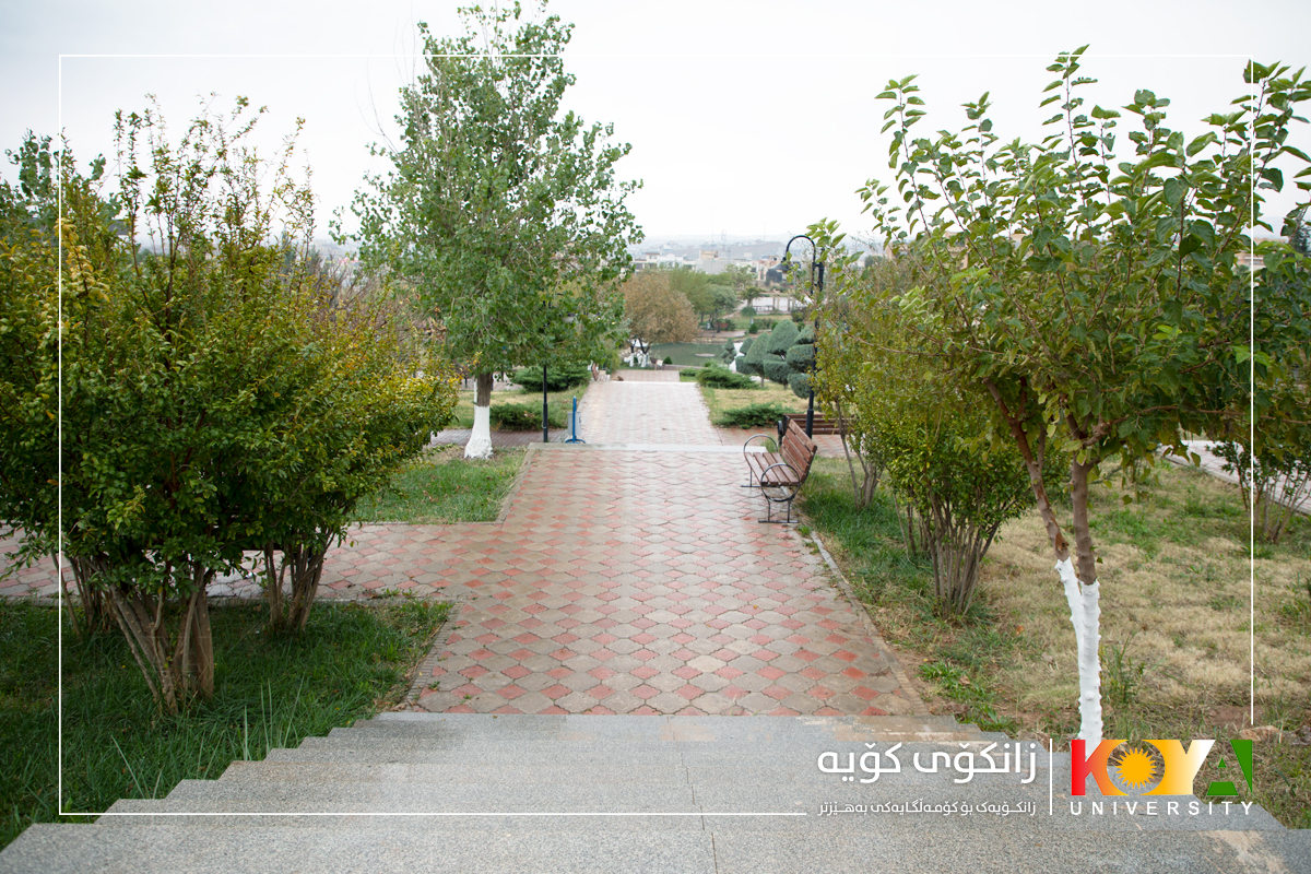 Koya University