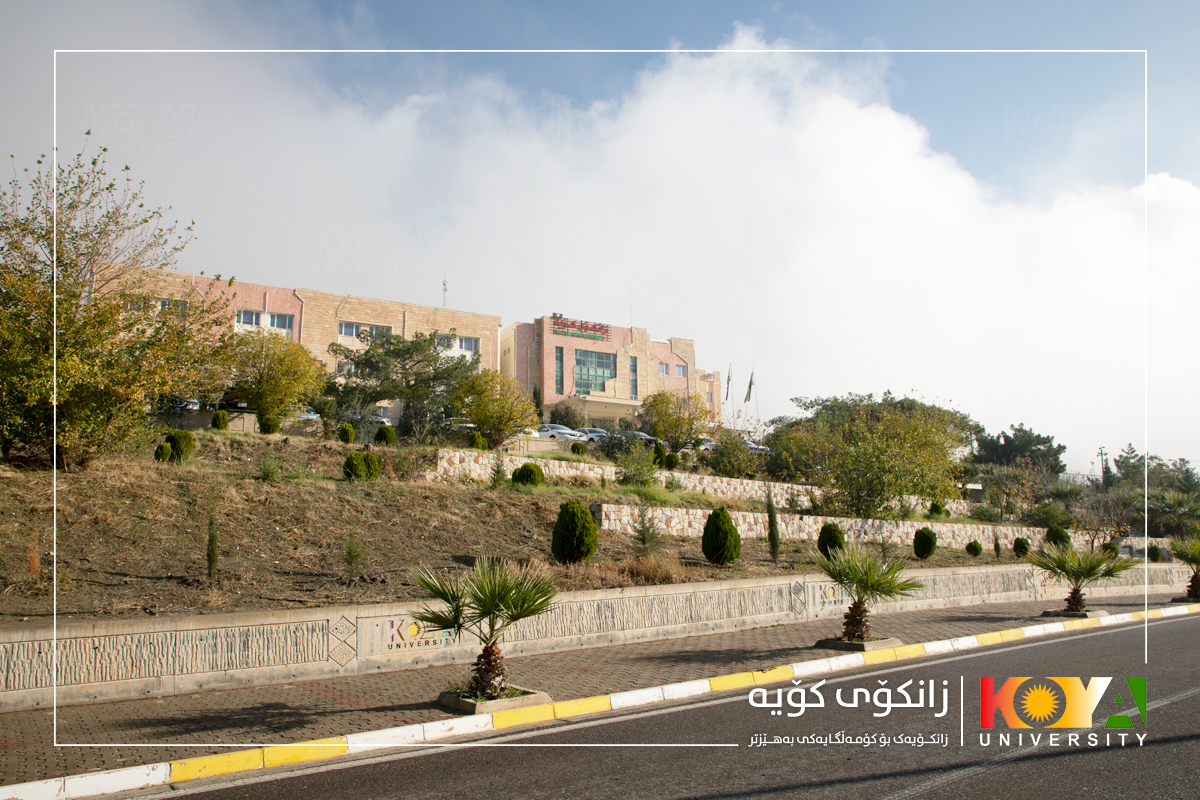Koya University