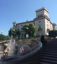  Koya university